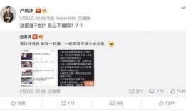 今日爆料卢伟冰视频播放,揭秘手机行业幕后真相！”